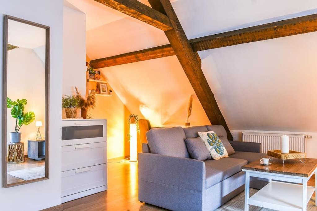 L'eden D'alsace-bel Emplacement-confort-4 Pers Apartment